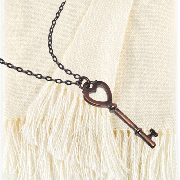 .🎄10/$20. Silver Tone Choker with a Cooper Color Key - Picture 2 of 4